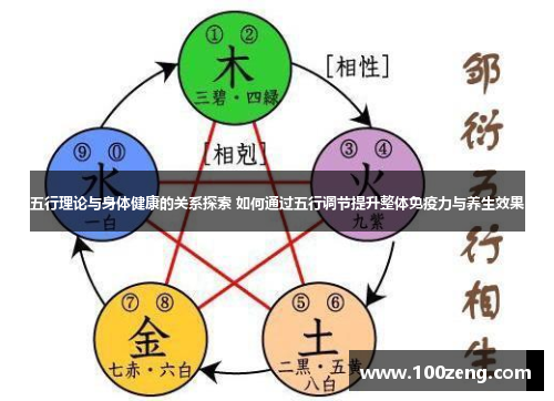 五行理论与身体健康的关系探索 如何通过五行调节提升整体免疫力与养生效果