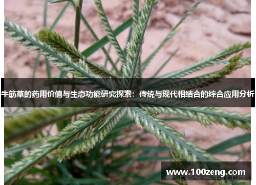 牛筋草的药用价值与生态功能研究探索：传统与现代相结合的综合应用分析